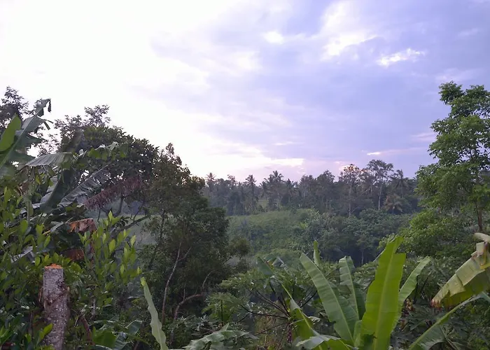 Bali *