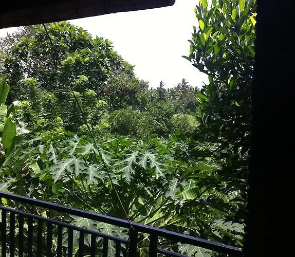 Privatunterkunft Bali